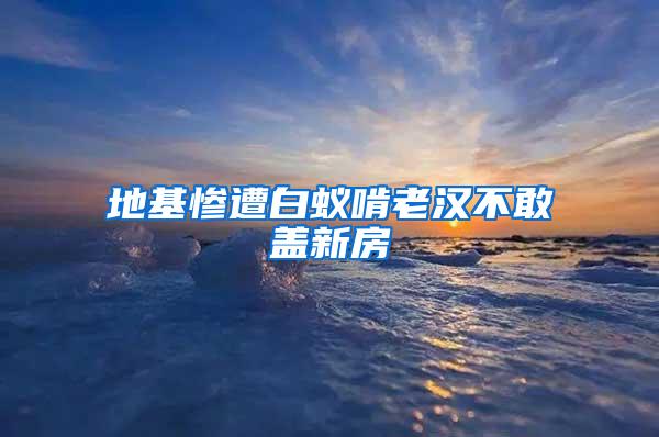 地基惨遭白蚁啃老汉不敢盖新房