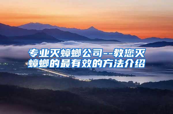 专业灭蟑螂公司--教您灭蟑螂的最有效的方法介绍