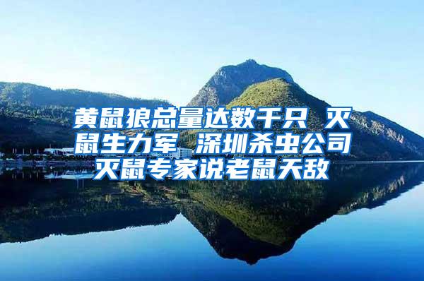 黄鼠狼总量达数千只 灭鼠生力军 深圳杀虫公司灭鼠专家说老鼠天敌