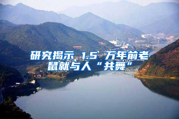 研究揭示 1.5 万年前老鼠就与人“共舞”