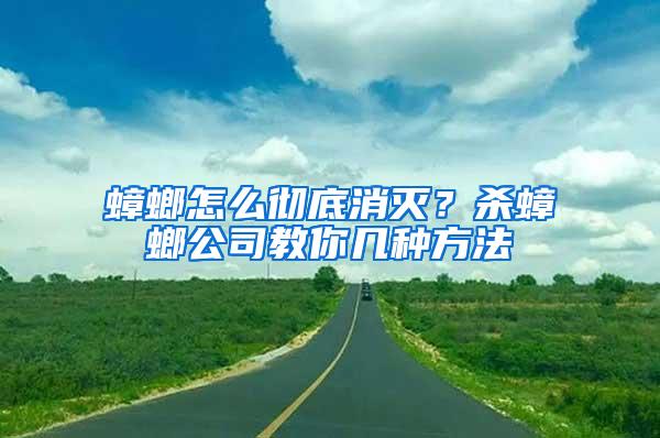 蟑螂怎么彻底消灭？杀蟑螂公司教你几种方法