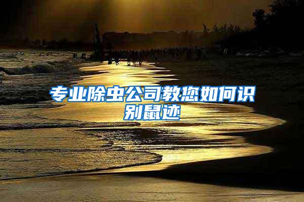 专业除虫公司教您如何识别鼠迹
