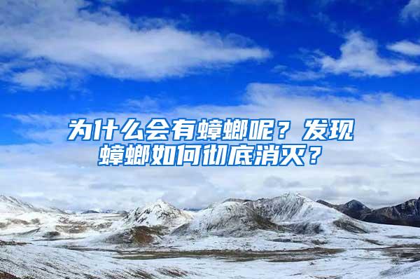 为什么会有蟑螂呢？发现蟑螂如何彻底消灭？