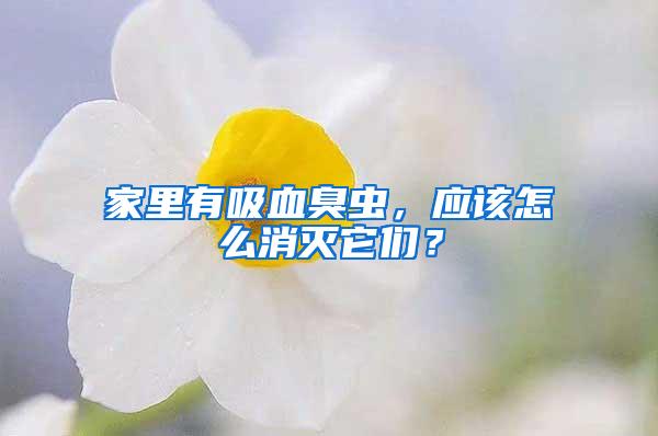 家里有吸血臭虫，应该怎么消灭它们？