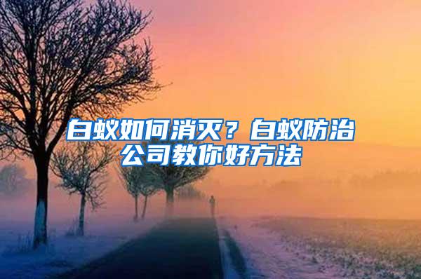 白蚁如何消灭？白蚁防治公司教你好方法