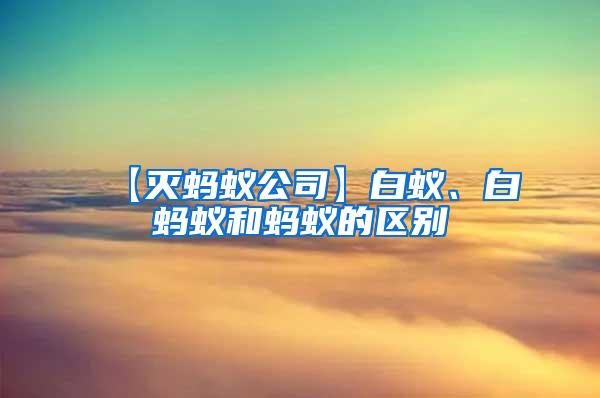 【灭蚂蚁公司】白蚁、白蚂蚁和蚂蚁的区别