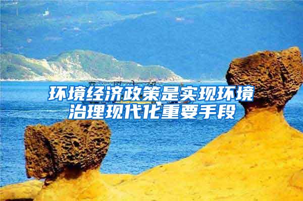 环境经济政策是实现环境治理现代化重要手段