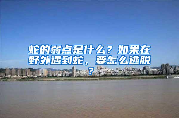 蛇的弱点是什么？如果在野外遇到蛇，要怎么逃脱？