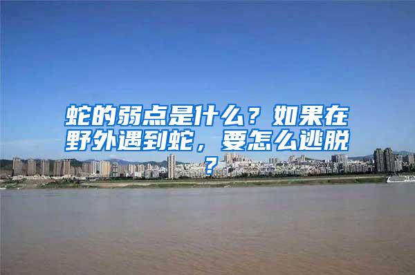 蛇的弱点是什么？如果在野外遇到蛇，要怎么逃脱？