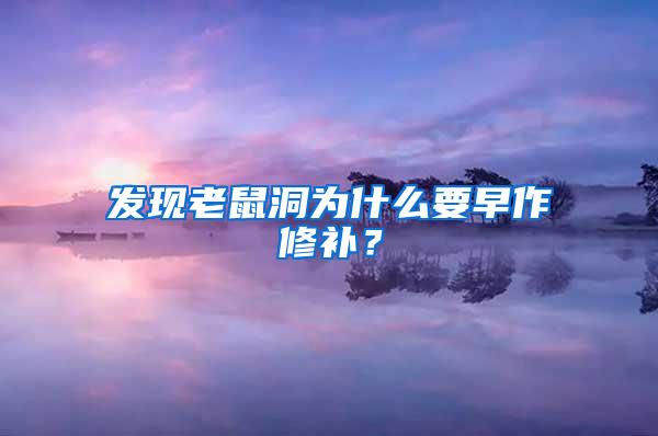 发现老鼠洞为什么要早作修补？