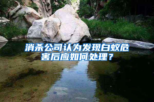 消杀公司认为发现白蚁危害后应如何处理？