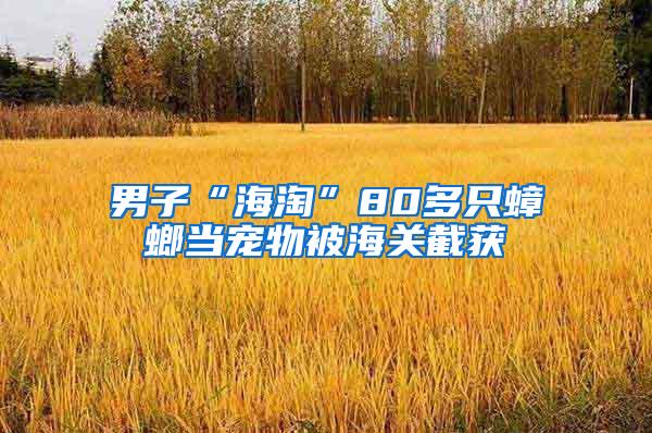 男子“海淘”80多只蟑螂当宠物被海关截获