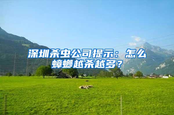 深圳杀虫公司提示：怎么蟑螂越杀越多？