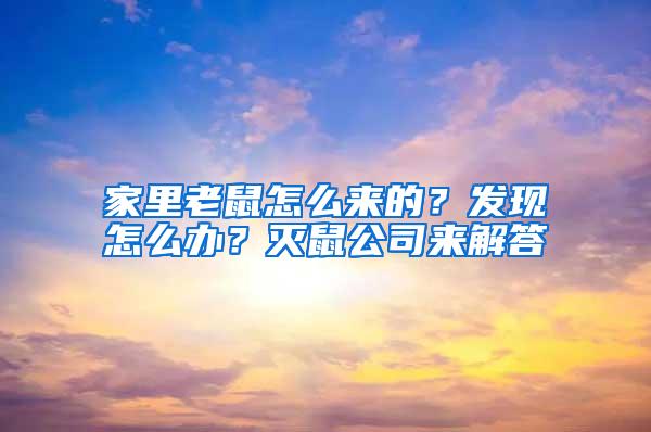 家里老鼠怎么来的？发现怎么办？灭鼠公司来解答