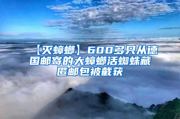 【灭蟑螂】600多只从德国邮寄的大蟑螂活蜘蛛藏匿邮包被截获