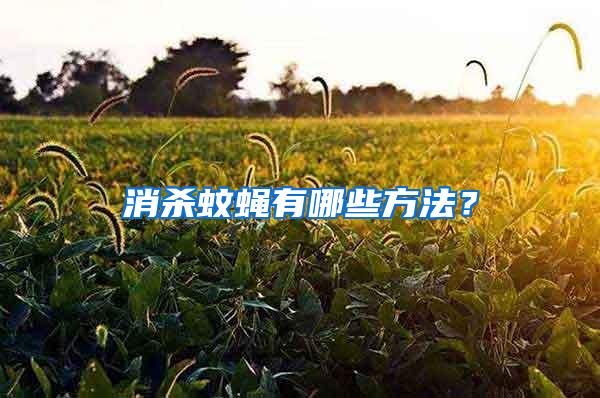 消杀蚊蝇有哪些方法？