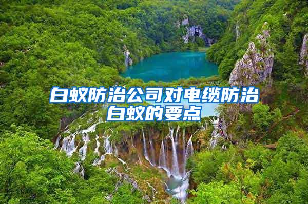白蚁防治公司对电缆防治白蚁的要点