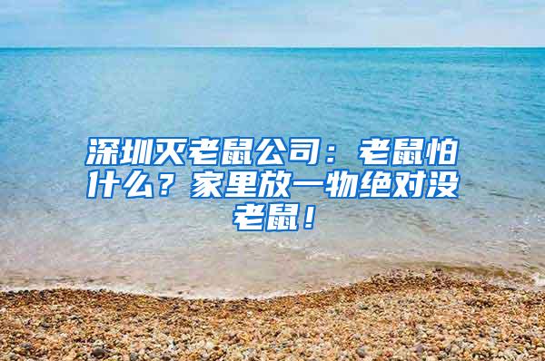 深圳灭老鼠公司：老鼠怕什么？家里放一物绝对没老鼠！