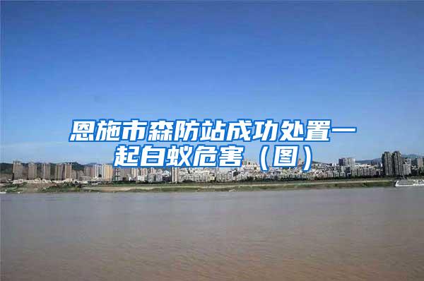 恩施市森防站成功处置一起白蚁危害（图）