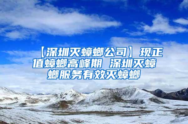 【深圳灭蟑螂公司】现正值蟑螂高峰期 深圳灭蟑螂服务有效灭蟑螂