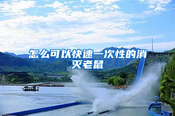 怎么可以快速一次性的消灭老鼠