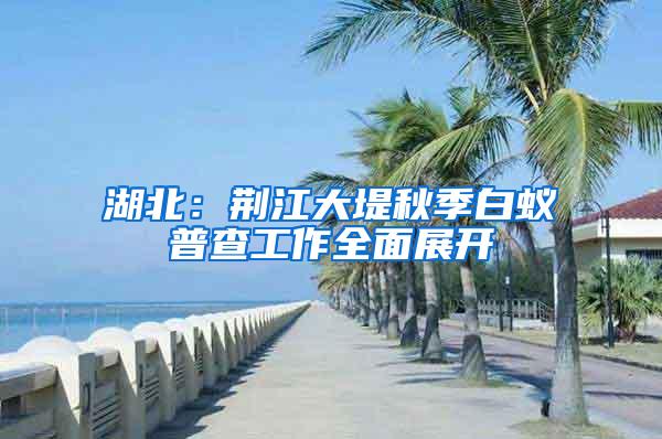 湖北：荆江大堤秋季白蚁普查工作全面展开