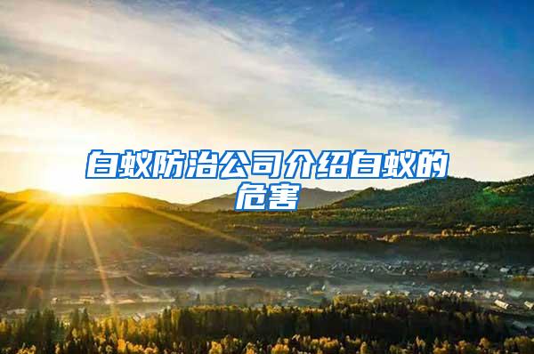 白蚁防治公司介绍白蚁的危害