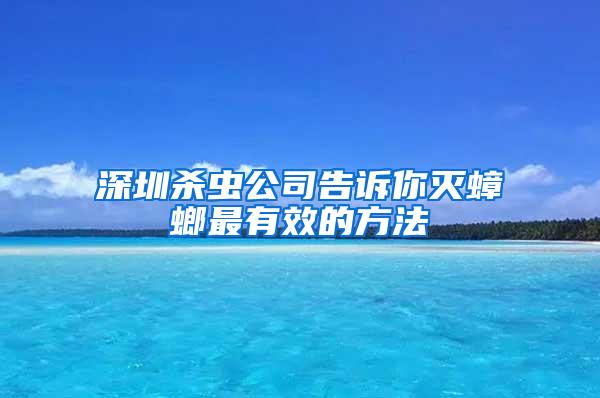 深圳杀虫公司告诉你灭蟑螂最有效的方法