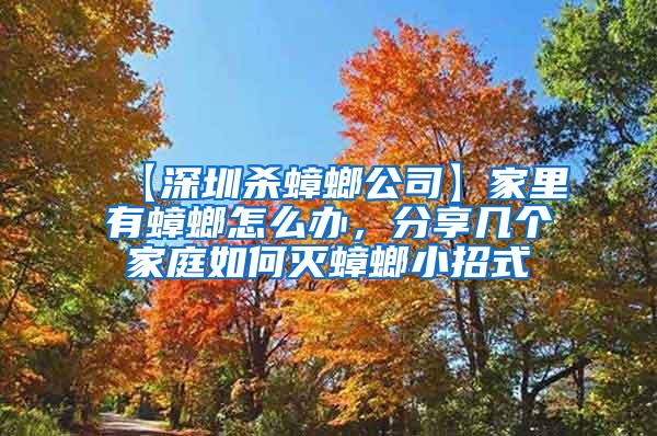 【深圳杀蟑螂公司】家里有蟑螂怎么办，分享几个家庭如何灭蟑螂小招式