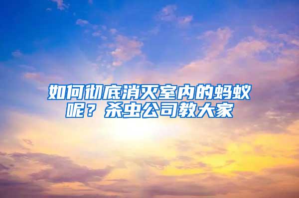 如何彻底消灭室内的蚂蚁呢？杀虫公司教大家