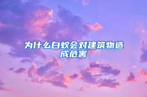 为什么白蚁会对建筑物造成危害