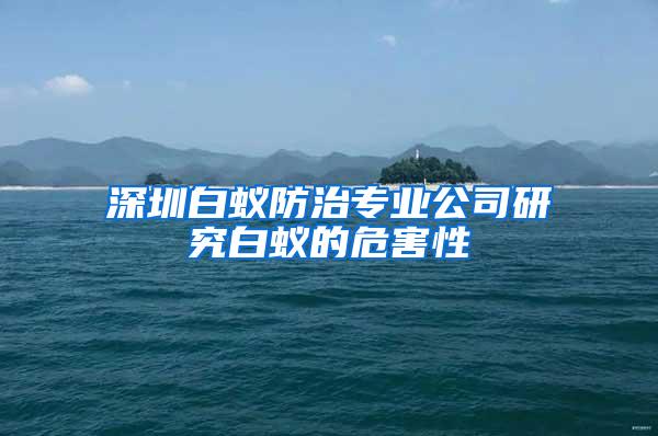 深圳白蚁防治专业公司研究白蚁的危害性