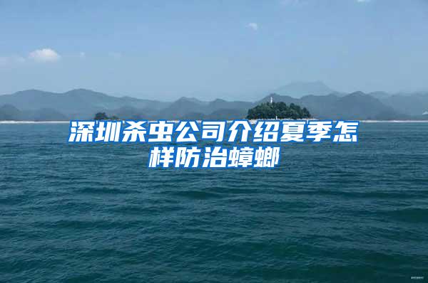 深圳杀虫公司介绍夏季怎样防治蟑螂