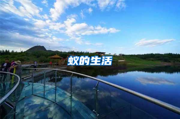 蚁的生活