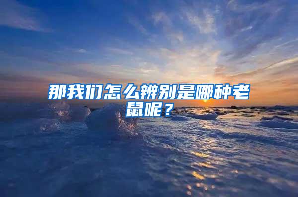 那我们怎么辨别是哪种老鼠呢？