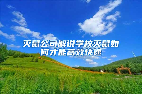 灭鼠公司解说学校灭鼠如何才能高效快速