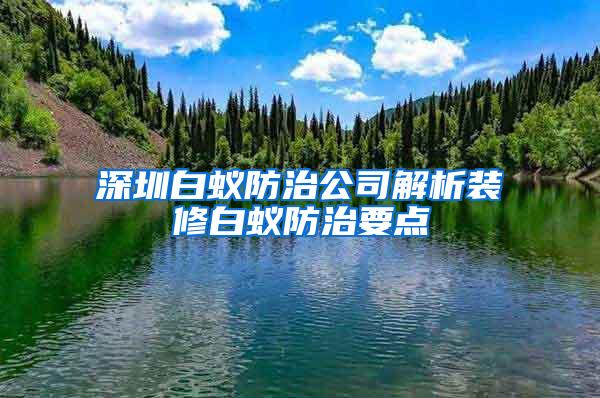 深圳白蚁防治公司解析装修白蚁防治要点