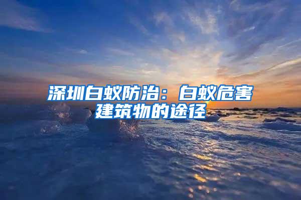 深圳白蚁防治：白蚁危害建筑物的途径