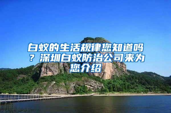 白蚁的生活规律您知道吗？深圳白蚁防治公司来为您介绍