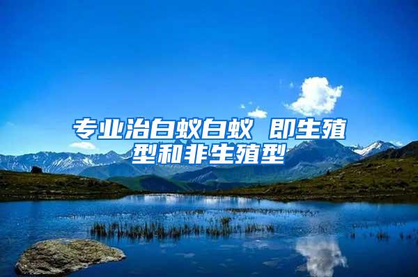 专业治白蚁白蚁 即生殖型和非生殖型