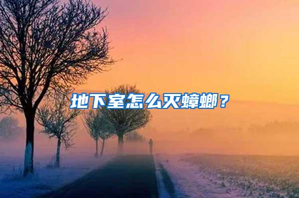 地下室怎么灭蟑螂？