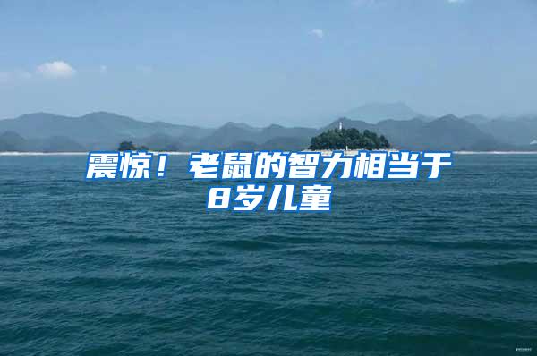 震惊！老鼠的智力相当于8岁儿童