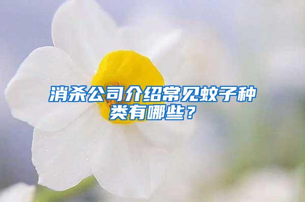 消杀公司介绍常见蚊子种类有哪些？