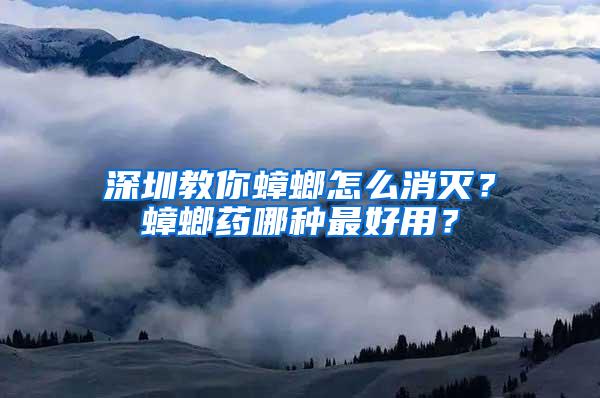 深圳教你蟑螂怎么消灭？蟑螂药哪种最好用？