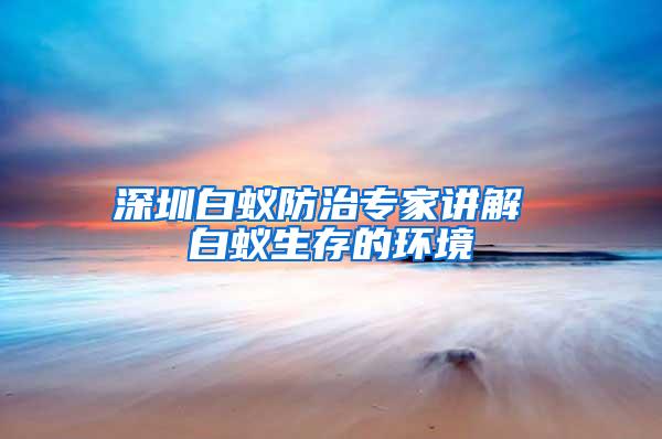 深圳白蚁防治专家讲解 白蚁生存的环境