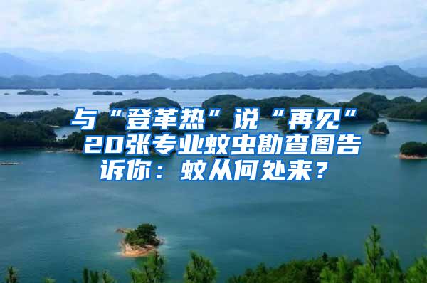 与“登革热”说“再见” 20张专业蚊虫勘查图告诉你：蚊从何处来？