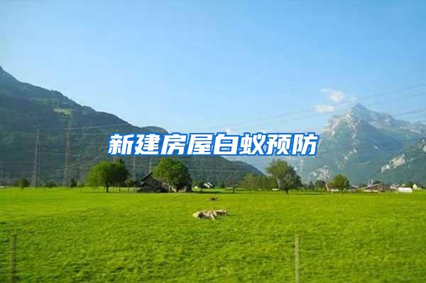 新建房屋白蚁预防