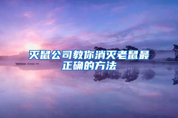 灭鼠公司教你消灭老鼠最正确的方法