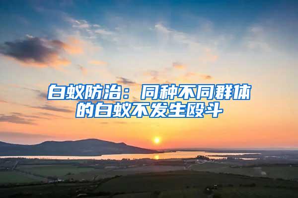 白蚁防治：同种不同群体的白蚁不发生殴斗