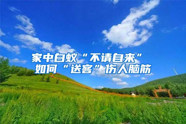 家中白蚁“不请自来” 如何“送客”伤人脑筋